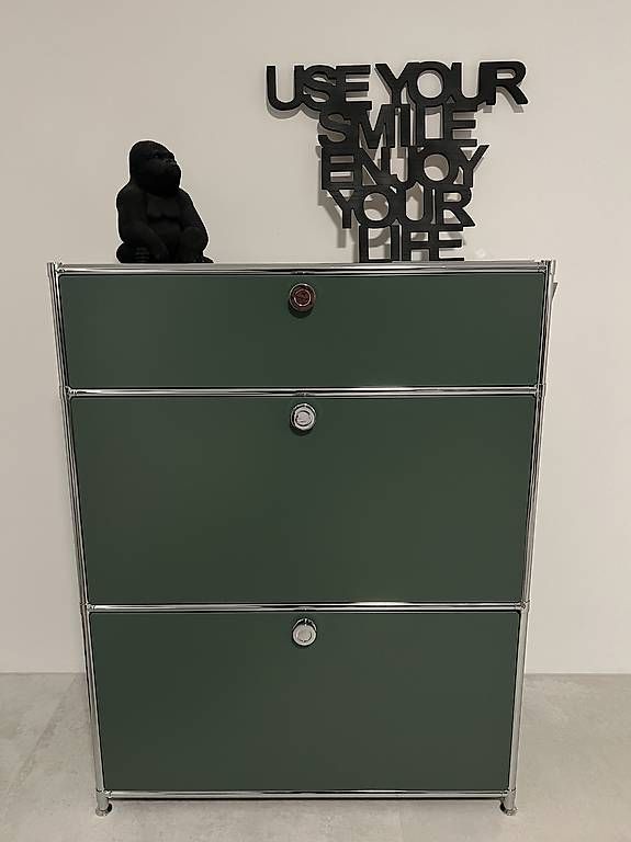 Pfister Banconi: QUADRO CONTAINER MIT ROLLEN & HIGHBOARD KORPUS – Usato da Lengnau BE venduto da Lupre_84 1