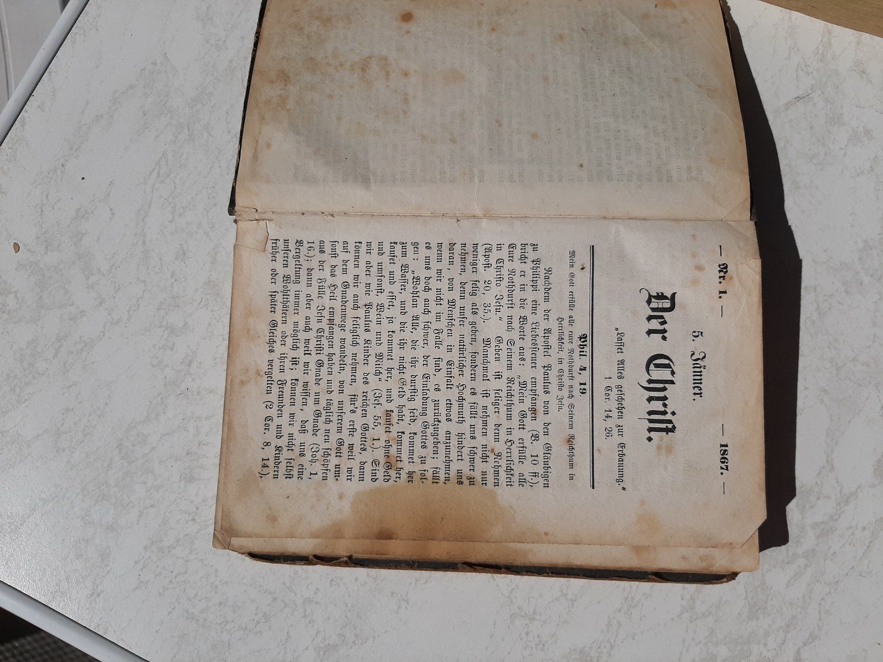 Libri: Bibel – Usato da Auw venduto da fjnunplugged 4