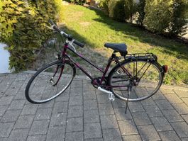 Damenvelo lila 7-Gang Shimano Exage 400LX gebraucht