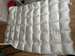 DOR Noblesse Kassettenduvet, 160/240 cm, Wildente, Top!
