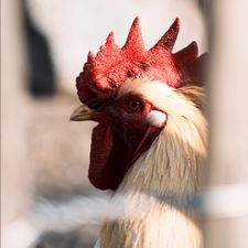 Profile image of OLOGi
