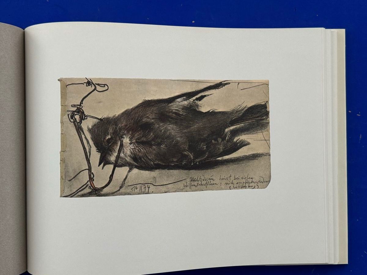 Bücher: Horst Janssen. November. 1975 – Gebraucht aus Adliswil von buch_und_kunst 4