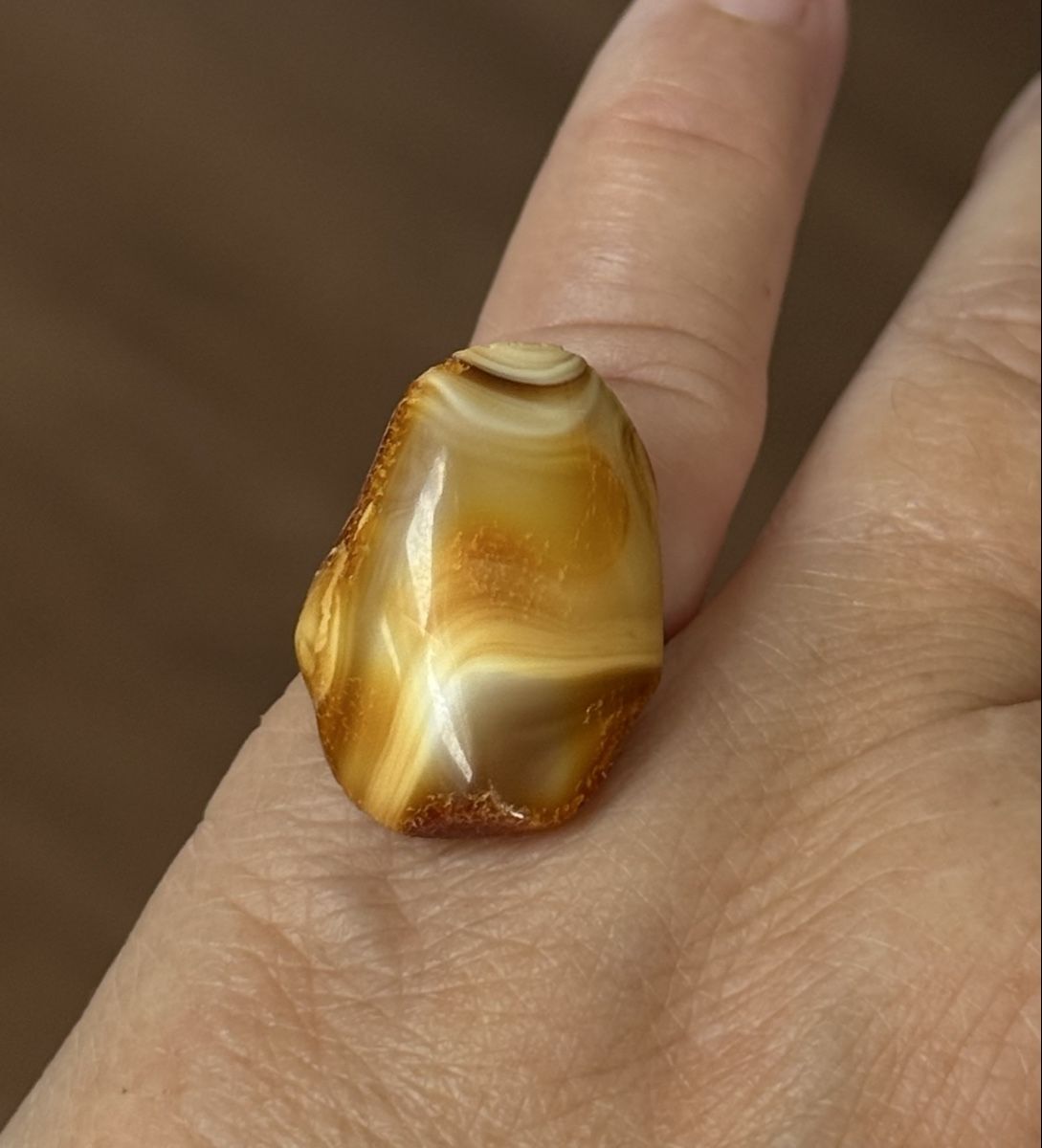 Anelli: Himmlischer Bernstein-Ring in Silber 925 – Nuovo e nell'imballaggio originale da Ebikon venduto da elischka