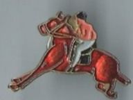 Pferde  Pin