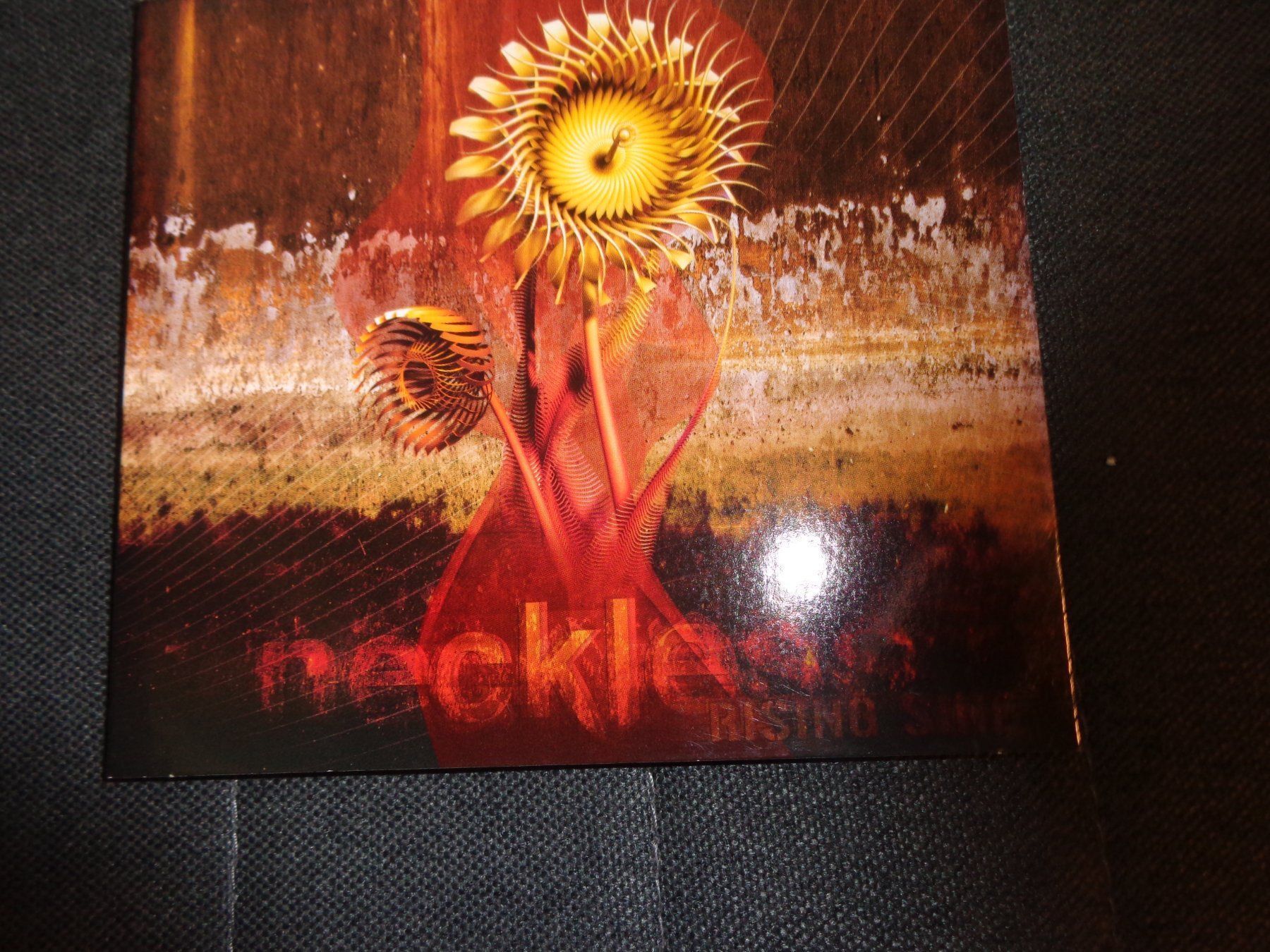 CD: Neckless - Rising Sine CD – Usato da Olten venduto da Disc-Ausverkauf