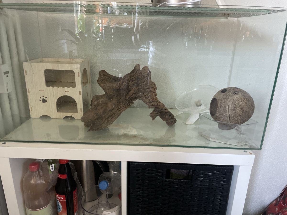 Terrarium: Terrarium/Aquarium  – Gebraucht aus Uster von mir_7bzy