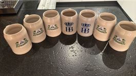 7 Bierkrüge Ayinger und Hofbräu