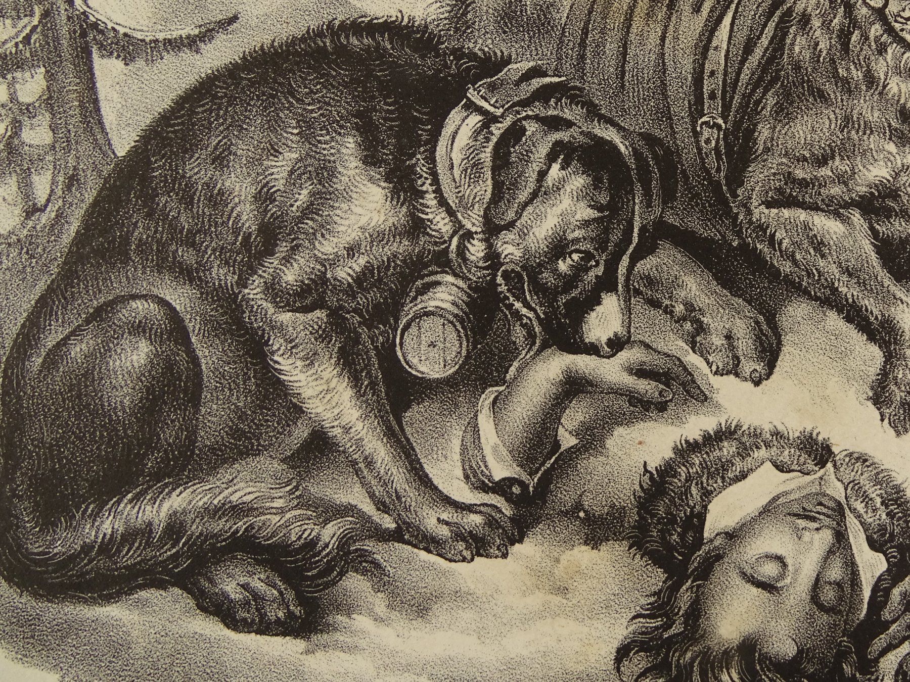 Stiche: BERNHARDINER, LITHOGRAPHIE 1840 – Gebraucht aus Grüningen von Kartensammler 3