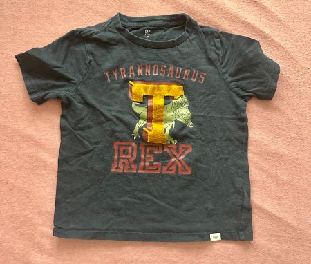 GAP T-Shirt