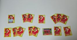 Sticker Panini WM 2026 Schweiz 15 Stk