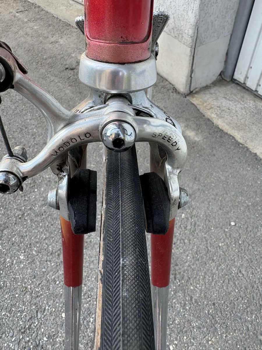 Biciclette: DOTTI Competition. – Usato da Lausanne venduto da Zorrus77 5