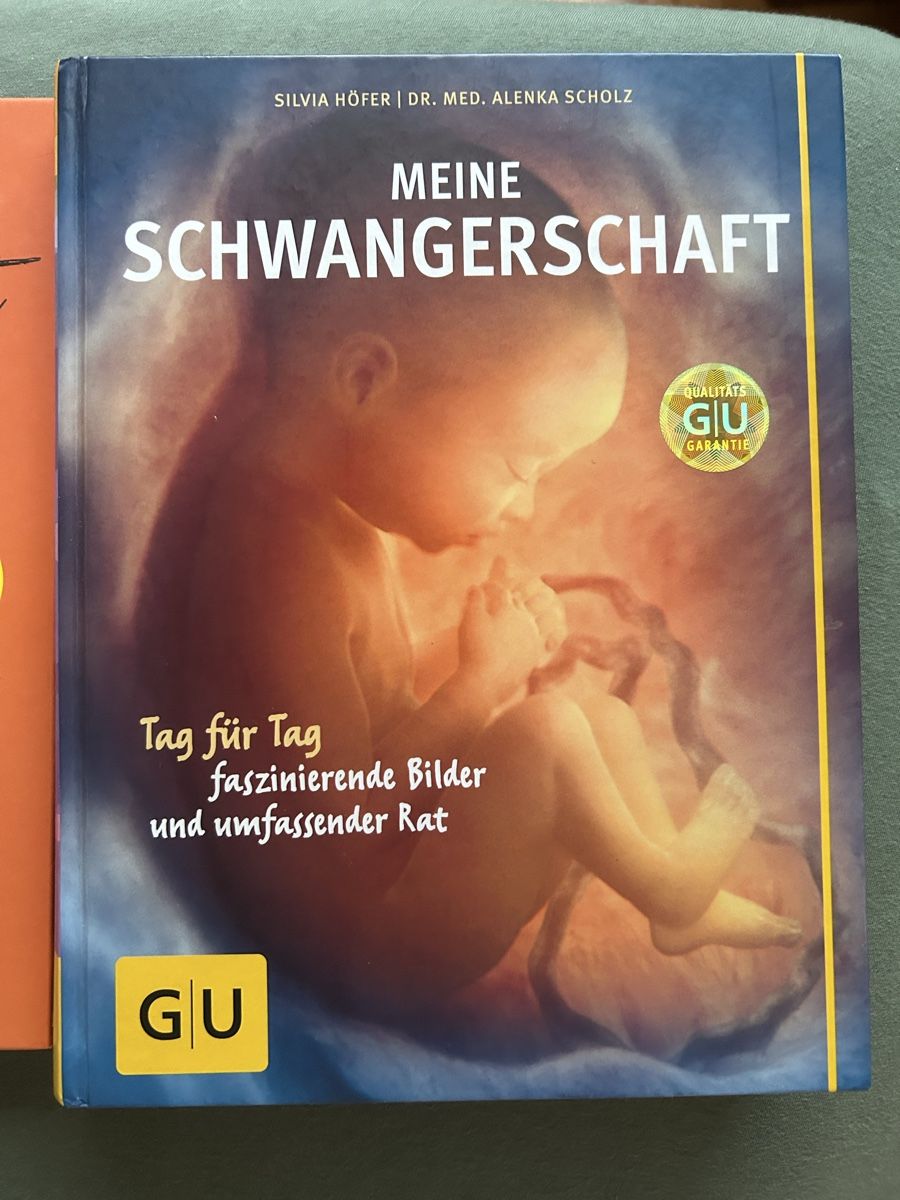 Libri: 3 Schwangerschaftsbücher – Usato da Olten venduto da patricialesandra 5