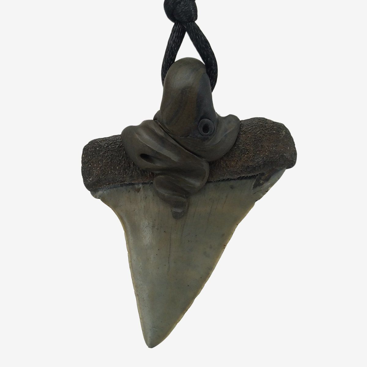 Fossilien: Mako Haifischzahn fossiliert mit eingefasstem Lapislazuli – Neu und originalverpackt aus Meilen von Kaleidoskopia 2