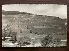 SCHINZNACH - DORF AG Rebberg, Hugo Kopp, ungelaufen