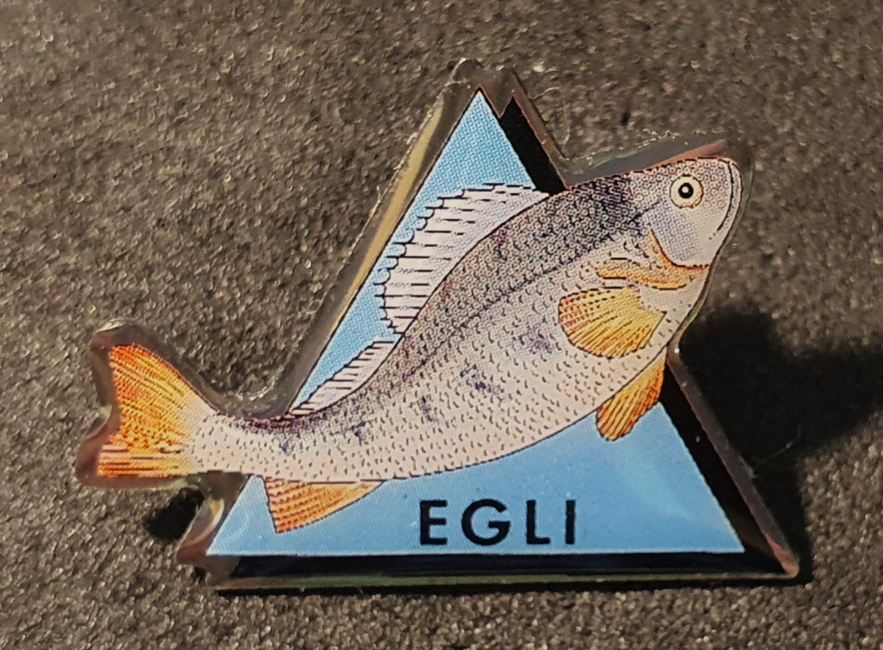 Placchette & Badge: CC836 - Pin Fisch EGLI – Usato da Reinach BL venduto da Boston-Verkauf
