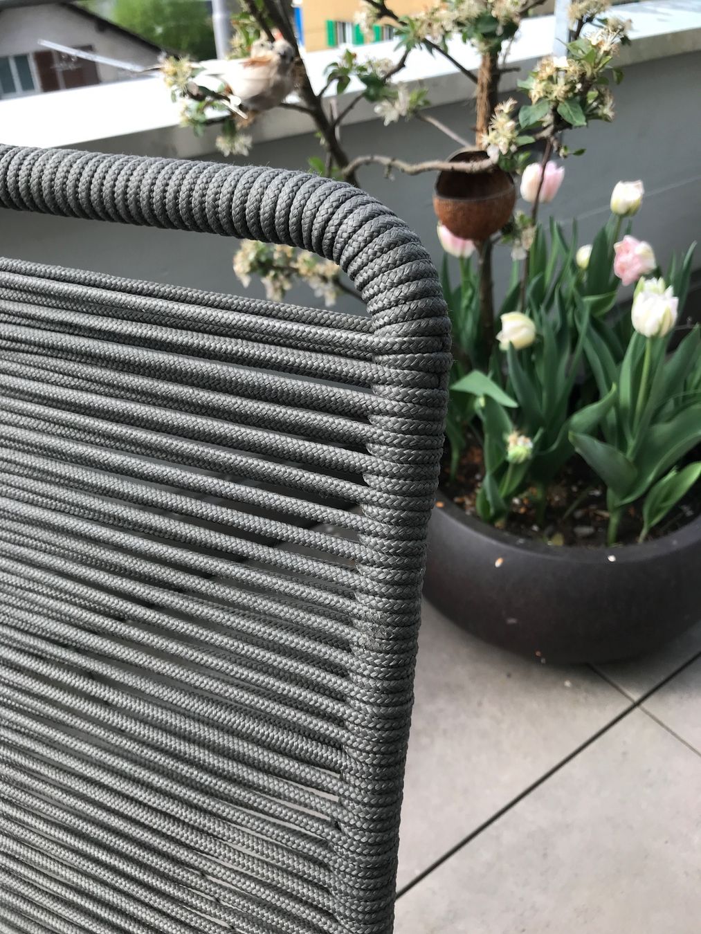 Pfister Set di tavolo e panche: Gartentisch mit Stühlen, von Pfister, wunderschön – Usato da Obernau venduto da Duplomin 4