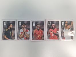 5 WM Cola Panini Sticker