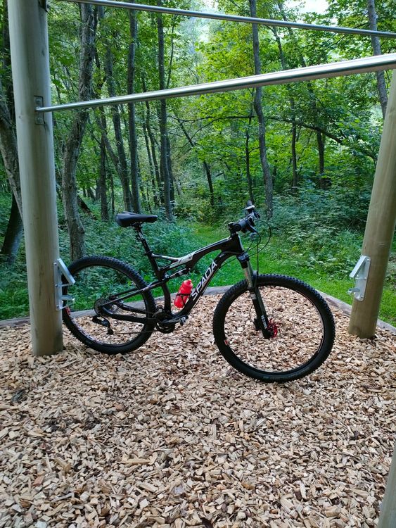 Racer Harness B – Sicherheitsgurt/Geschirr In Gelb, Größe XL