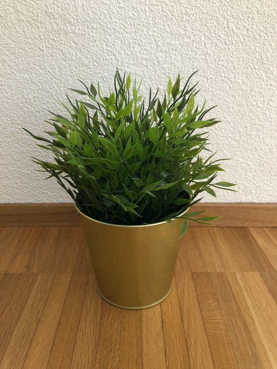 Künstliche Pflanze von Ikea inklusive Topf Kaufen auf Ricardo