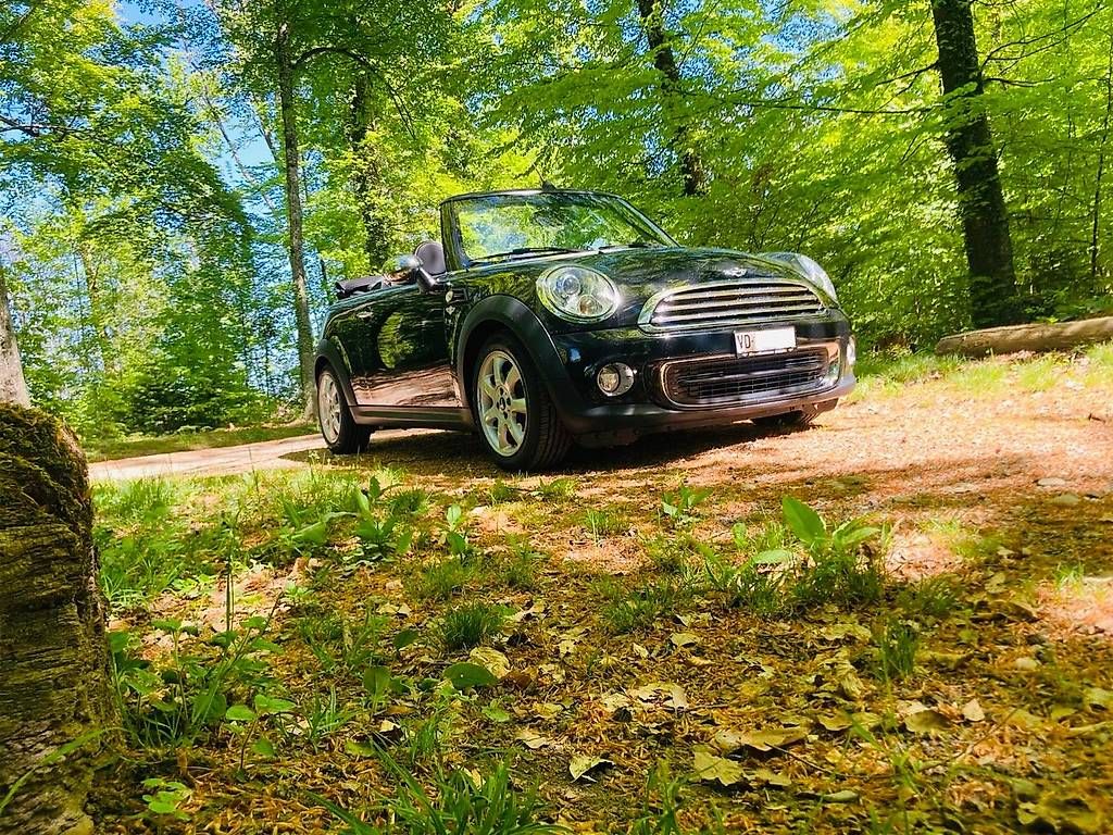 Automobili: Mini Cabrio 1.6 16V – Usato da Le Château-Croix venduto da RoccoPro