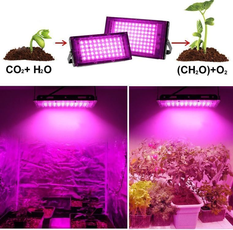 100W LED Pflanzenlampe Dimmbar Mit Vollspektrum & Daisy Chain – Für Gewächshaus, Zimmerpflanzen & Gemüse