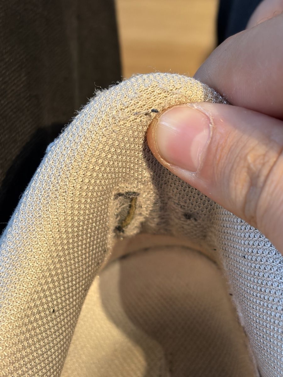 Raf Simons Scarpe da uomo: Raf Simons ozwego – Usato da Burgdorf venduto da kfk_p9k2 5