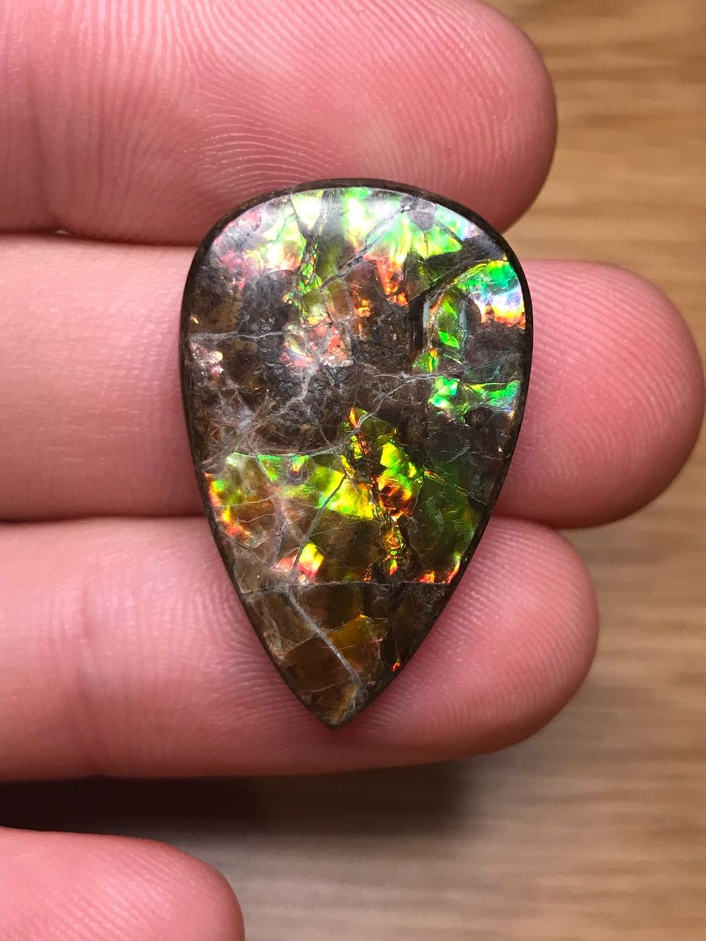 Fossilien: Ammolith Triplet Cabochon, 25 Karat, Kanada – Neu (gemäss Beschreibung) aus Biel von djvalbnc 1