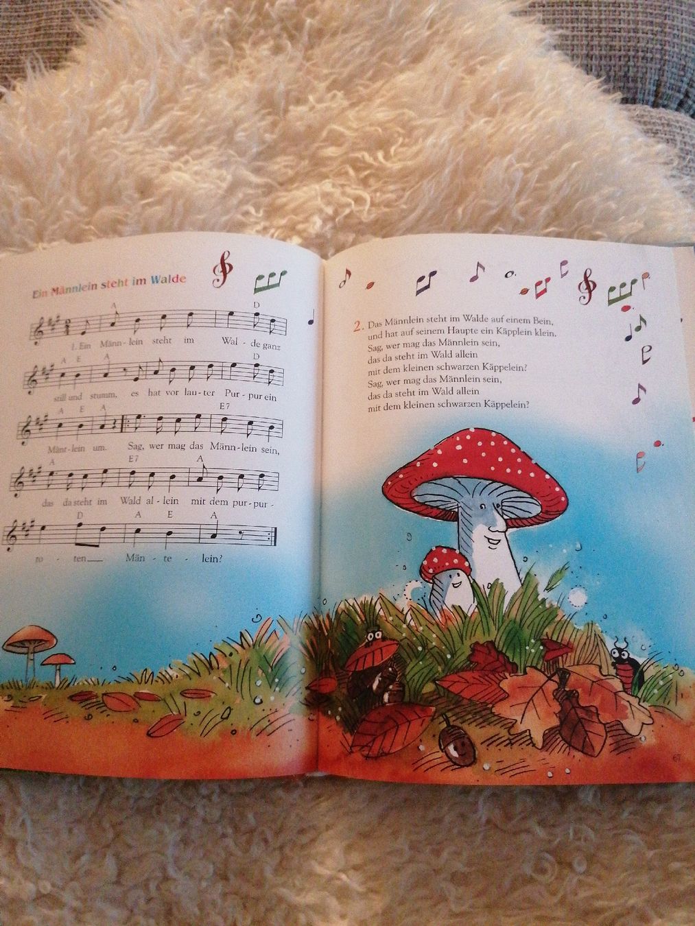 Bücher: Kinderlieder  – Gebraucht aus Kaltbrunn von Pitschifan 3