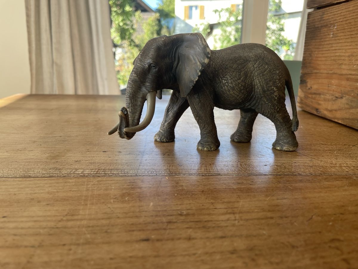 Schleich Jouets: Schleich Elefant – D'occasion à Bonstetten par soleillle 2