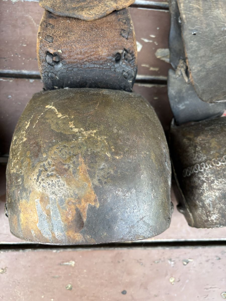Campanacci mucche: 3 Alte Schellen – Usato da Schangnau venduto da Roseggli82 5