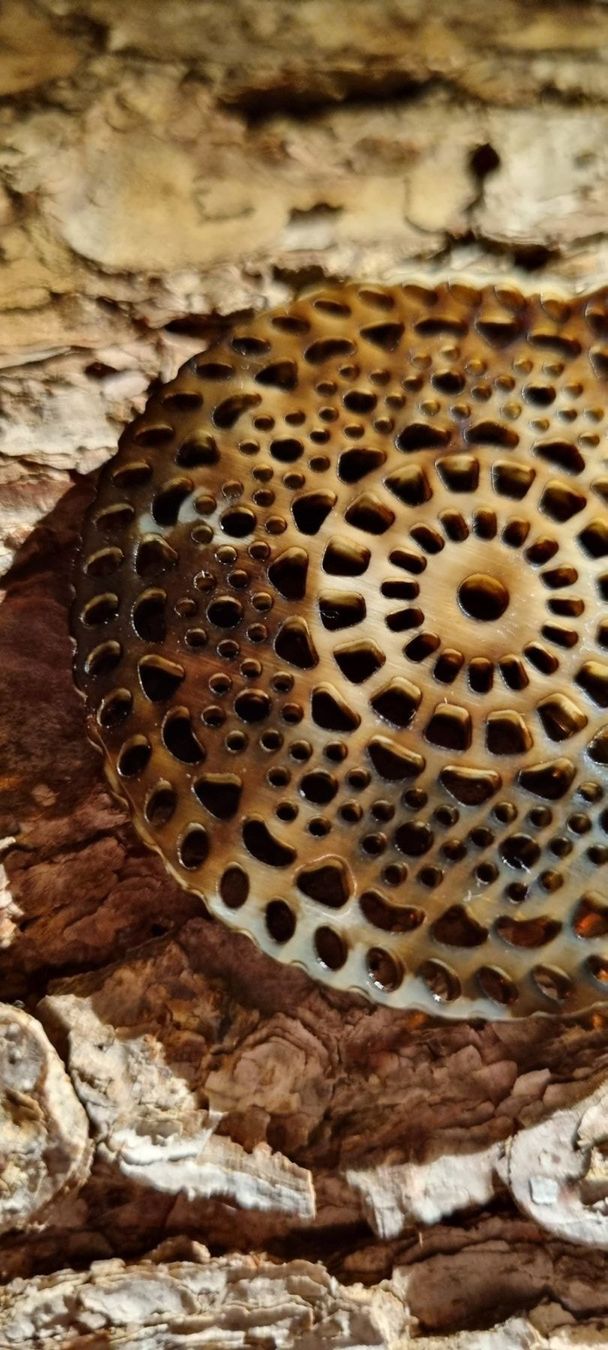 Ciondoli: Mandala Amulett - neu – Nuovo e nell'imballaggio originale da Gattikon venduto da myartshop 2
