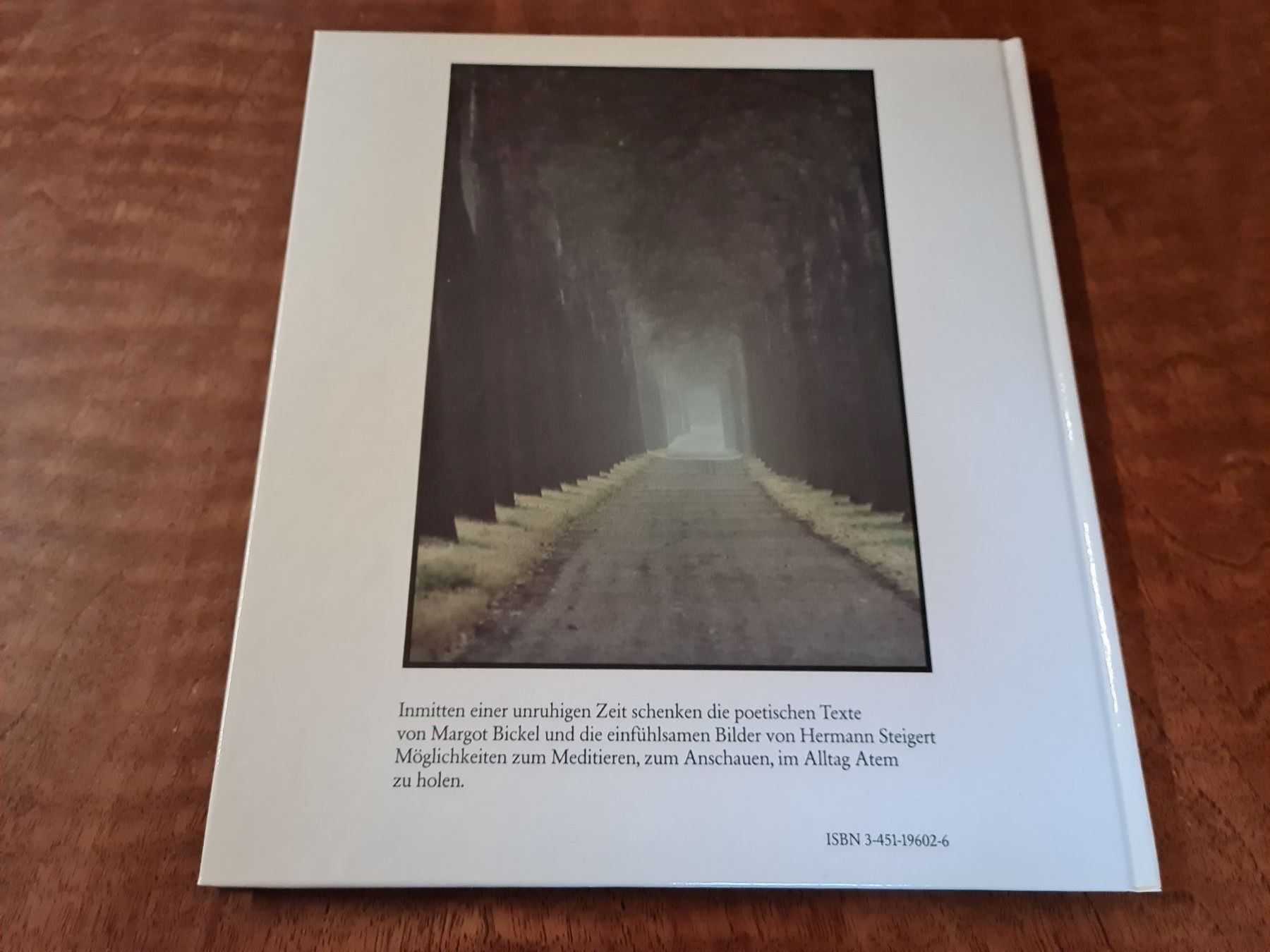 Libri: Wege zum Träumen – Usato da Erstfeld venduto da Mario_boe0 1