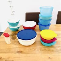 Tupperware Set Vorratsdosen diverse Grössen bunt gebraucht