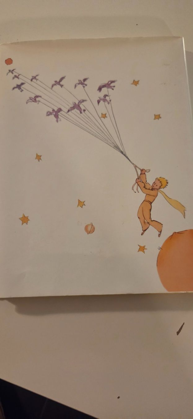 Libri: Der kleine Prinz - version berndeutsch Antoine de St.Exypery – Usato da Bremgarten b. Bern venduto da Marge7979 1