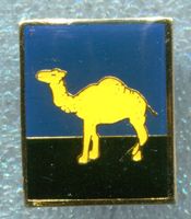 CAMEL