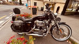 Harley Davidson XL 1200 Sportster Custom