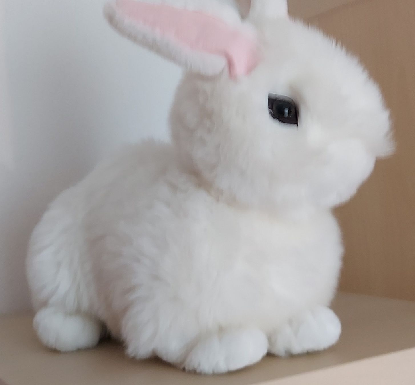Giocattoli: Hase weiss – Usato da Steckborn venduto da Quo7 2