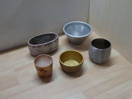 5 Pflanzen Blumen Über- Töpfe Kübel Weihnachten
