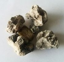 frisches Copal negro Harz, 200 g direkt aus Peru!!