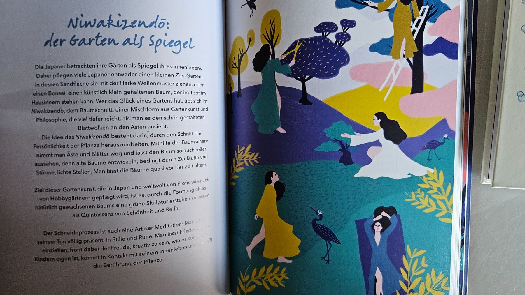Libri: Thema Selbstfindung Kombo – Usato da Basel venduto da True_Hofer_Store 3