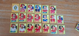 Panini 2026