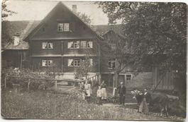 LANDWIRTSCHAFT/BAUERNHAUS 1910 mit Kuh+Leiterwagen SG?
