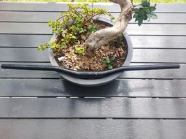 Lenker MTB