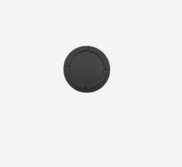 Nintendo Console: Joystick Ersatzkappe für Nintendo Switch JoyCon  Cap – Nuovo e nell'imballaggio originale da Vogelsang AG venduto da miinlade 1