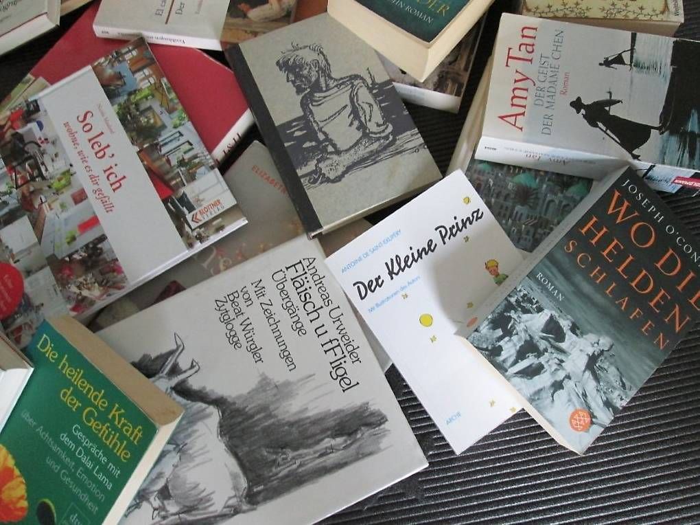 Libri: Romane, Sachbücher, Bibliographien, Gedichte – Usato da St. Gallen venduto da Technik1 4