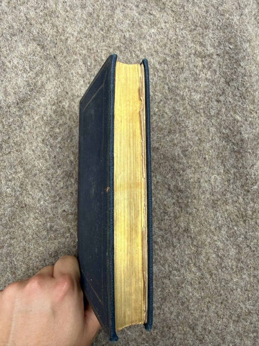 Libri: Mémoire d’une chatte par Desormaux – Usato da Fribourg venduto da Ardoffel 2