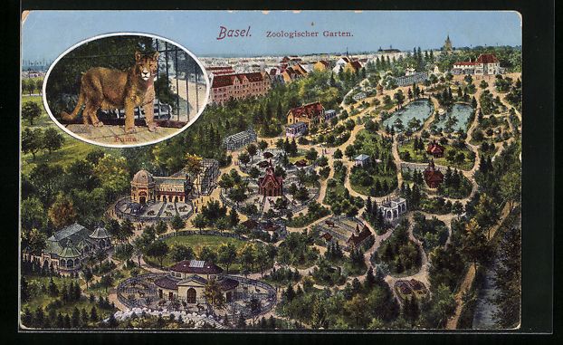 Cartoline postali: Basel, Panorama des Zoologischen Gartens – Usato da Berlin venduto da bartko-reher
