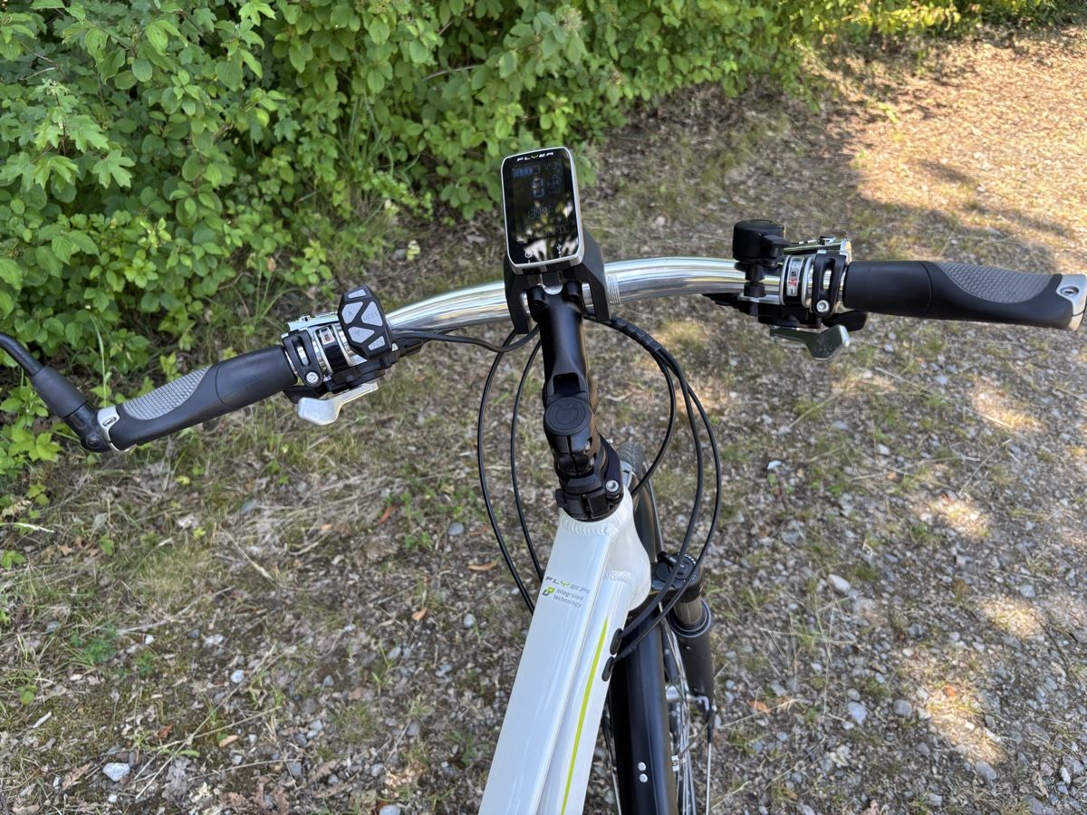 Flyer Biciclette: Flyer 45 km/h – Usato da Kleindietwil venduto da her_d77z 3