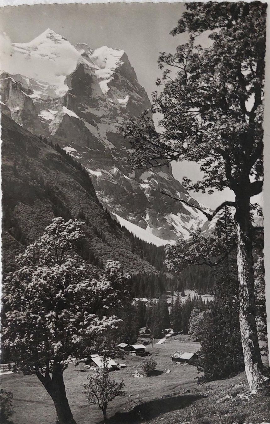 Cartoline postali: SCHWARZWALDALP  -  Wetterhorn – Usato da Delémont venduto da Domdom1