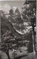 SCHWARZWALDALP  -  Wetterhorn